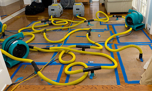 Professional Crawl Space Water Removal technician working in Mingus, TX